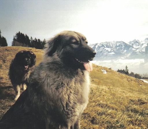 Brita Kopf glauberberg